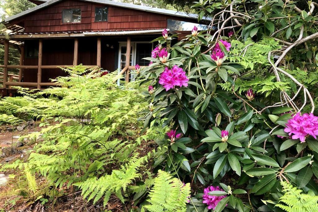The Cabin In Packwood Ngoại thất bức ảnh